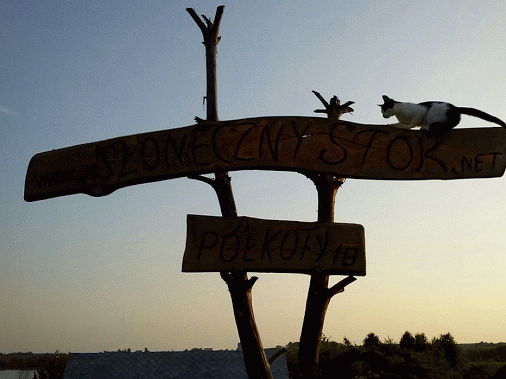 koty_znak_min.gif
