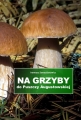 Na grzyby