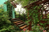 Domek zielony: Kwatera III (Sadek)