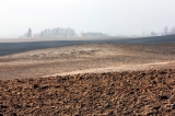Półkockie barwy ziemi - glina i piasek