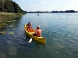 Canoe