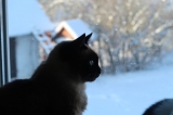 My się zimy nie boimy