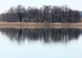 Wyspa w lustrze
