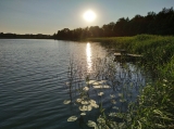 Niech natura czyni w nas to co najlepsze...