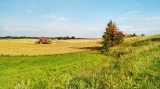Niech natura czyni w nas to co najlepsze...