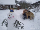 My się zimy nie boimy