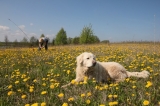 Powiemy Wam wierszyk 