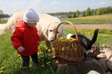 Powiemy Wam wierszyk 