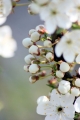 Wiosna, Wielkanoc i chrzest