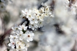 Wiosna, Wielkanoc i chrzest