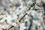 Wiosna, Wielkanoc i chrzest