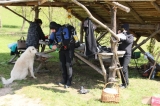 W maju jak w gaju