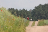 Pięknie jest
