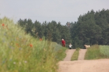 Rezerwacje na sezon wypoczynkowy 2018