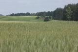 Pięknie jest