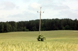 Pięknie jest