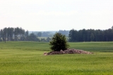 Pięknie jest
