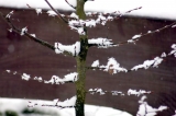 Śnieg zimą? ...niemożliwe