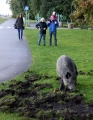 Zwykły, niezwykły szary dzień - sobota