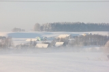 Mięta z lodem