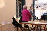 FOTOPLENERY na pograniczu - pasja i wypoczynek