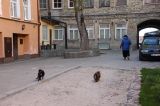 FOTOPLENERY na pograniczu - pasja i wypoczynek