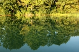 Lustro "Berżniaka"